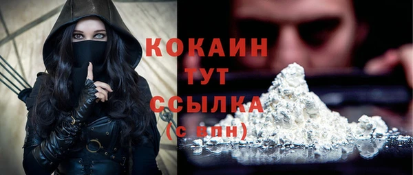 гашик Медвежьегорск