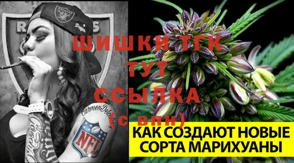 гашик Медвежьегорск