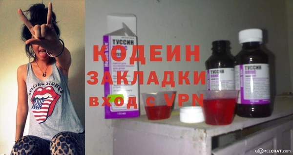 индика Медногорск