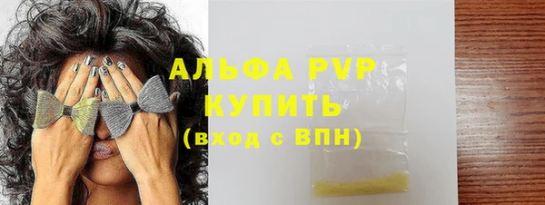 индика Медногорск