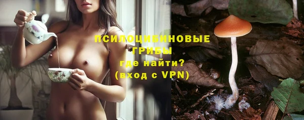 гашик Медвежьегорск