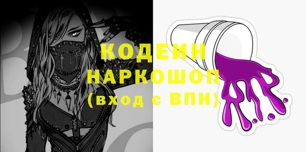 индика Медногорск