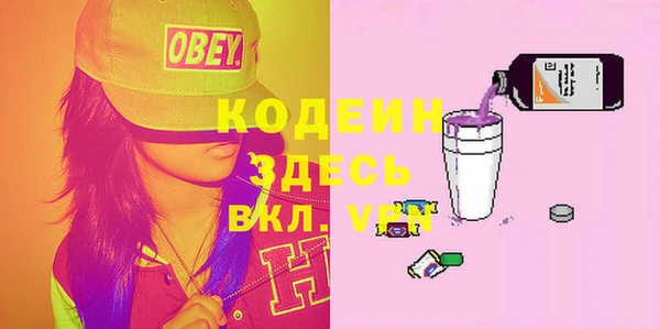 индика Медногорск