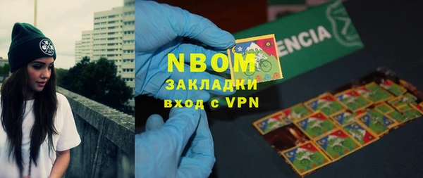 индика Медногорск