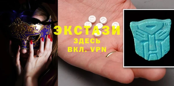 индика Медногорск