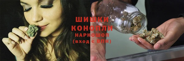 индика Медногорск