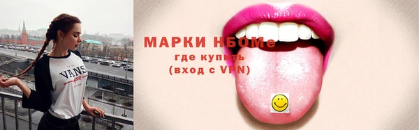 индика Медногорск