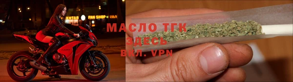 индика Медногорск