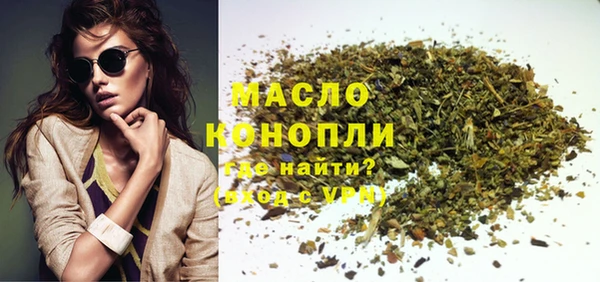 индика Медногорск