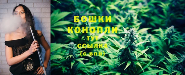 индика Медногорск