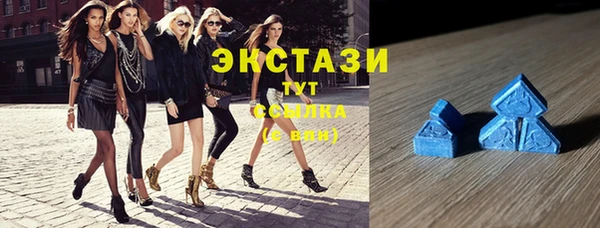 индика Медногорск