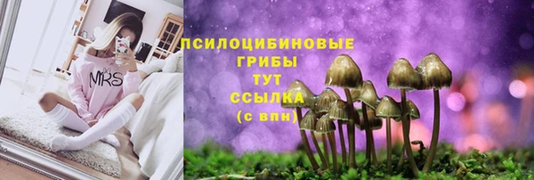 гашик Медвежьегорск