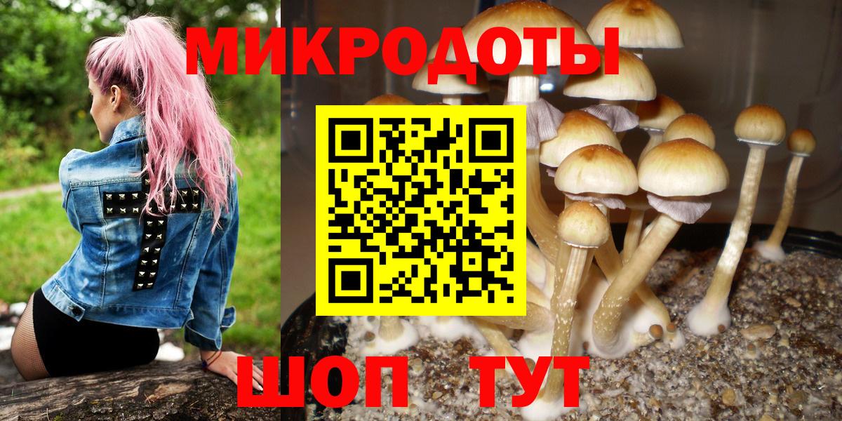 Псилоцибиновые грибы GOLDEN TEACHER Чусовой
