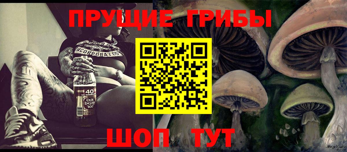 Галлюциногенные грибы Cubensis Чусовой