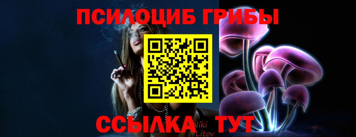 Псилоцибиновые грибы Psilocybe  Псилоцибиновые грибы прущие грибы  Вход с VPN  Чусовой 